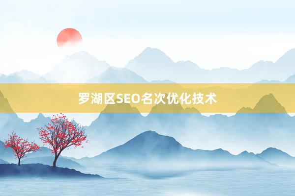 罗湖区SEO名次优化技术