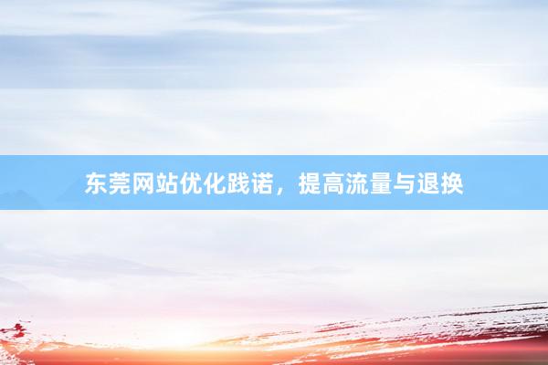 东莞网站优化践诺，提高流量与退换