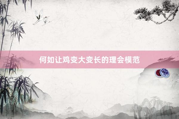 何如让鸡变大变长的理会模范