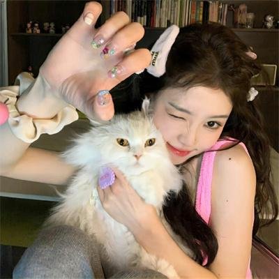 夜樱家的大作战